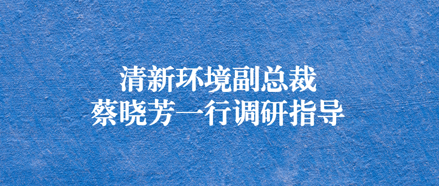 清新環(huán)境副總裁蔡曉芳一行蒞臨天晟源環(huán)保調(diào)研指導(dǎo)