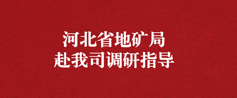 河北省地礦局黨組書記盧瑞卿赴天晟源環(huán)保調(diào)研指導(dǎo)